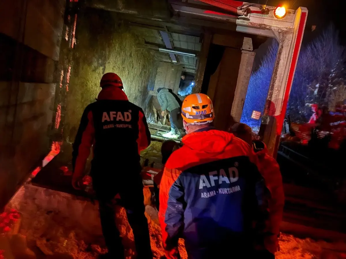 Refahiye'de Hayvan Yüklü TIR Kazası: 1 Büyükbaş Hayvan Hayata Veda Etti