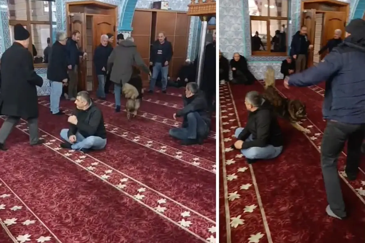 Cami içinde koşan sokak köpeği