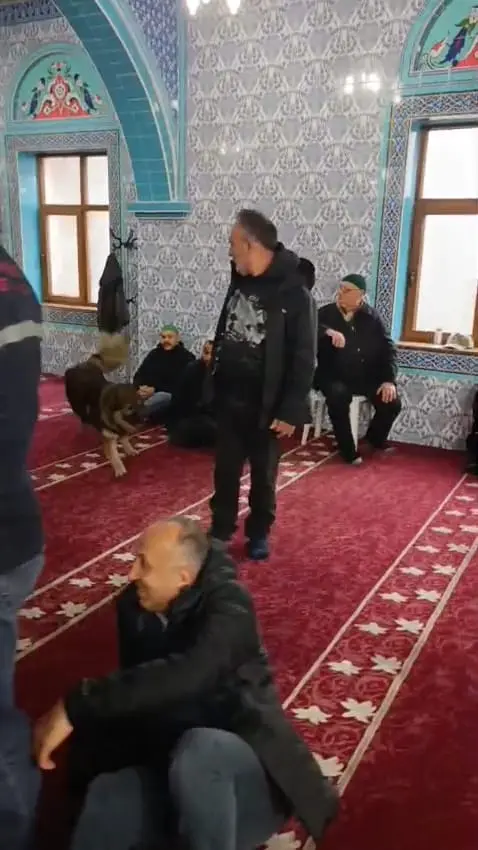 Cemaat içinde koşan köpek
