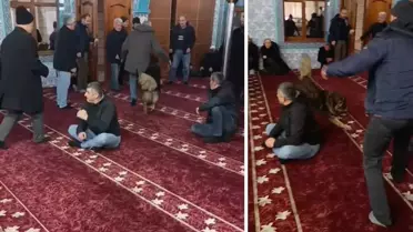 Zonguldak’ta Sokak Köpeği Camide Neşeli Anlara Yol Açtı
