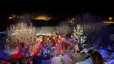 Kurtarılan hayvanların fotoğrafı