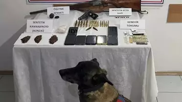 Operasyonda ele geçirilen uyuşturucu ve silahlar