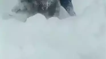 Domuz yavrusunu yakalayan kişi