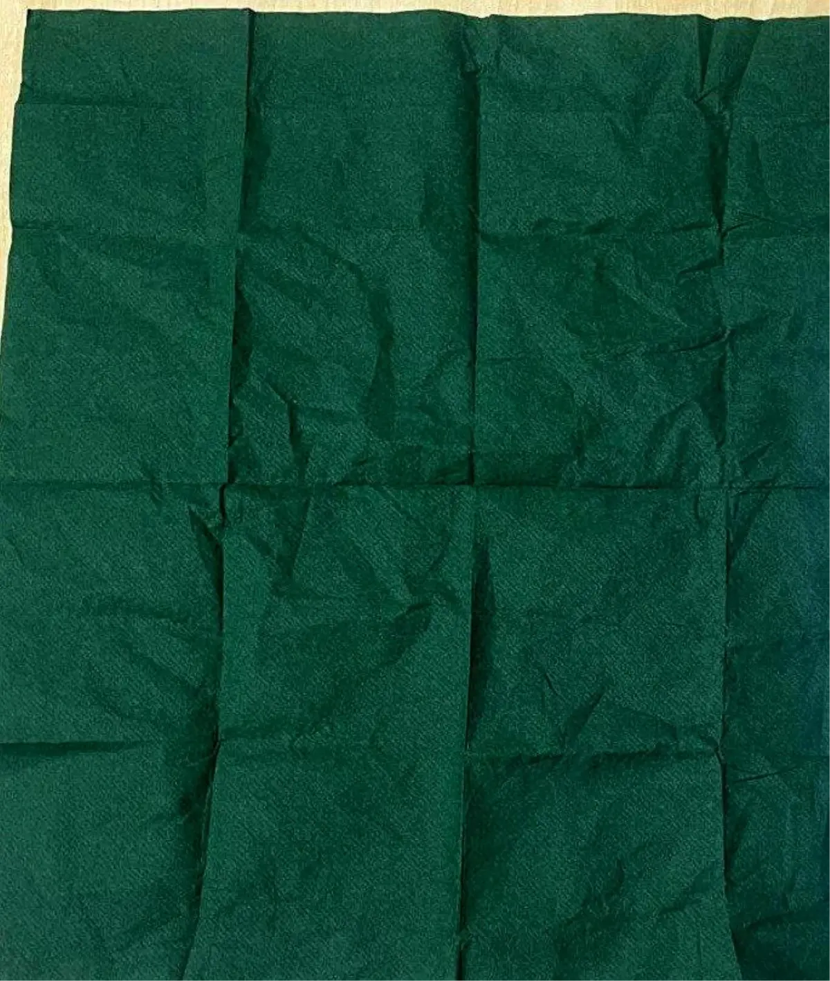 Salihli'de Büyük Uyuşturucu Operasyonu: 2.500 Bonzai Ele Geçirildi