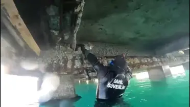 Edremit’te Sahil Güvenlik Operasyonu ile Mahsur Kedi Kurtarıldı