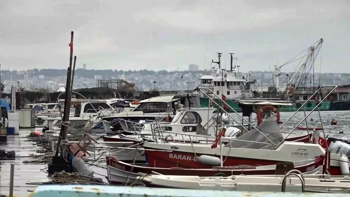 Karadeniz Lüfer Stoku %95 Kısıtlamayla Sınırlı: Balıkçılar Zor Durumda