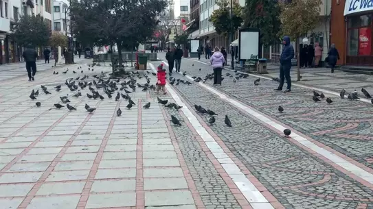 Edirne'de Dondurucu Soğuk, Alışveriş ve Turizmi Nasıl Etkiliyor?
