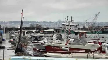 Karadeniz Lüfer Stoku %95 Kısıtlamayla Sınırlı: Balıkçılar Zor Durumda