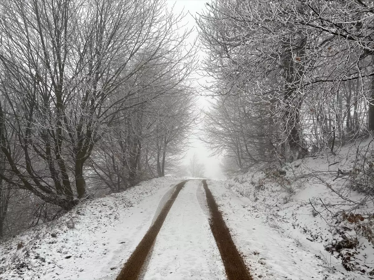 Lapseki Dumanlı Köyü'nde Kar Yağışı ve Eğlenceli Anlar