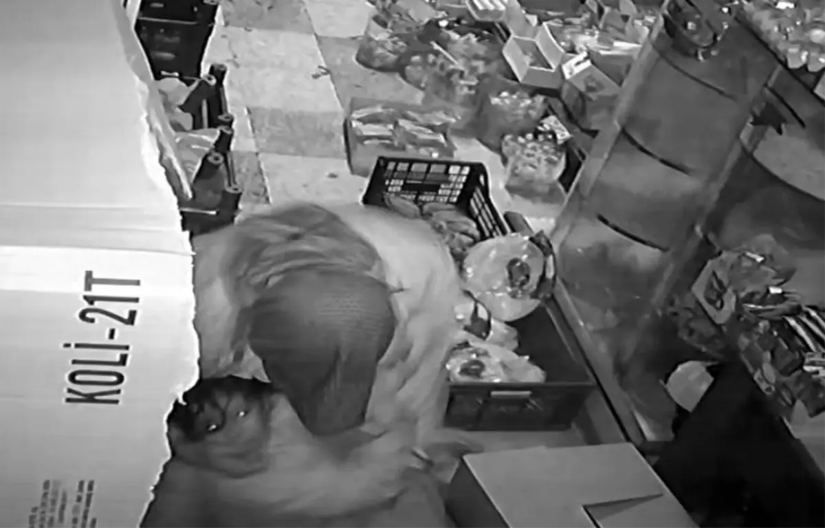 Gaziantep’te 11 Yaşındaki Kız, Atkısıyla Hayatını Kurtardı