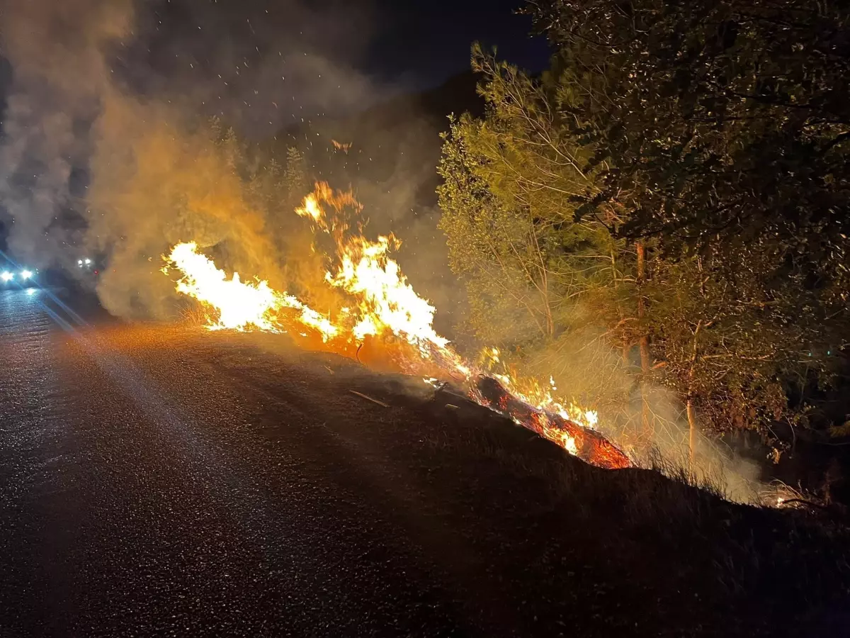 Kozan’da Çıkan Orman Yangını Hızla Kontrol Altına Alındı