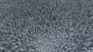 Drone ile çekilen Ilgaz Dağı kar manzarası