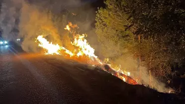 Yangın kontrol altına alındıktan sonra görüntü