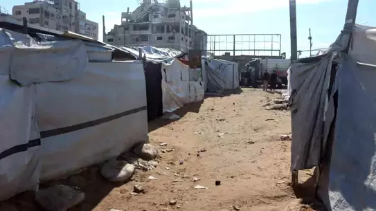 Gazze'de Barış Umudu: Filistinlilerin Yeni Planı