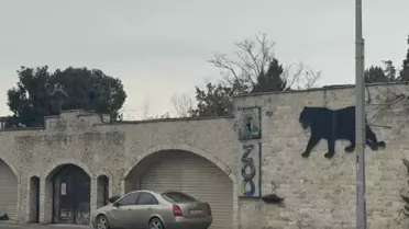 Hayvanların yeni yaşam alanları