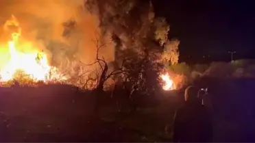 Manavgat'ta D-400 Karayolunda Çıkan Yangın Kontrol Altına Alındı