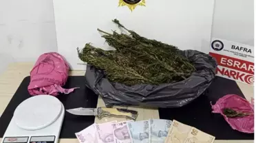 Samsun’da Büyük Narkotik Operasyonu: Beş Şüpheli Gözaltında