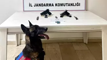 Van’ın Erciş İlçesinde Jandarma Tarafından Ruhsatsız Tabancalar Ele Geçirildi