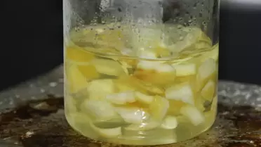 Ağaç Kavunu Kabuklarından Geliştirilen Yeni Nesil Hidrojel: İlaç Taşıma ve Su Emme Potansiyeli