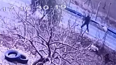 Şanlıurfa Birecik’te Köpeğe Tüfekle Müdahale: Olay Güvenlik Kamerasına Yansıdı