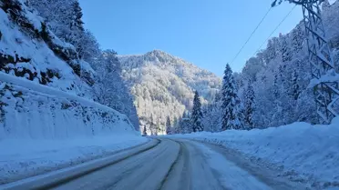 Doğu Karadeniz'de Şiddetli Kar Yağışı 404 Köy Yolunu Kapattı