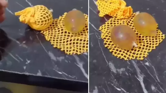 Eskişehir’de Baba, “Su Maymunu” Oyuncağının İçinden Prezervatif Çıktığını Bildirdi