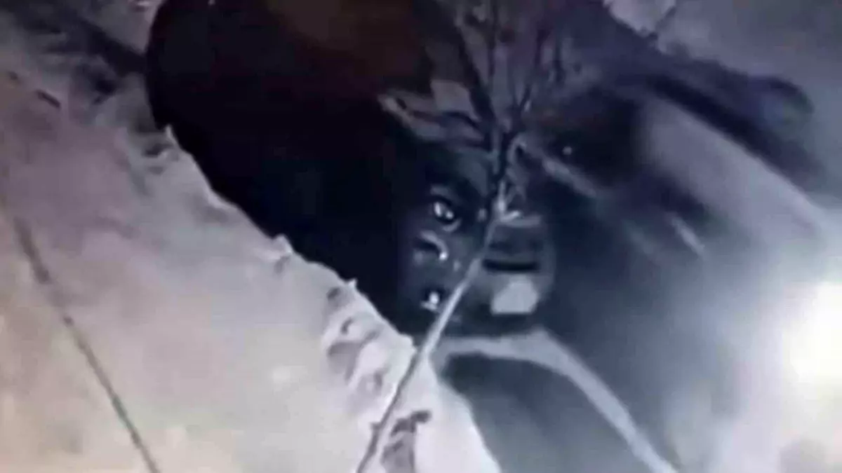 Elazığ’da Buzlu Yolda Kaygan Araç, Park Halindeki Arabaya Çarptı