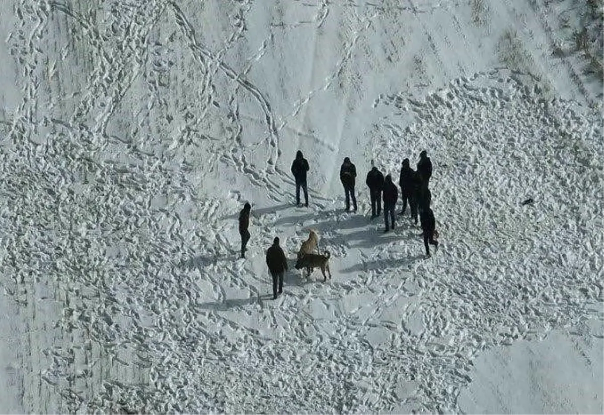 Nevşehir Avanos'ta Jandarma, Köpek Dövüşünü Çökertti: 10 Şahıs Yakalandı