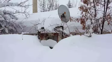 Bitlis'te kar altında kalan tek katlı evler