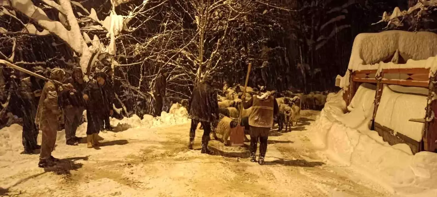 Giresun Güce’de Çığ Felaketi: Çoban Hacı Yiğit Hayatını Kaybetti