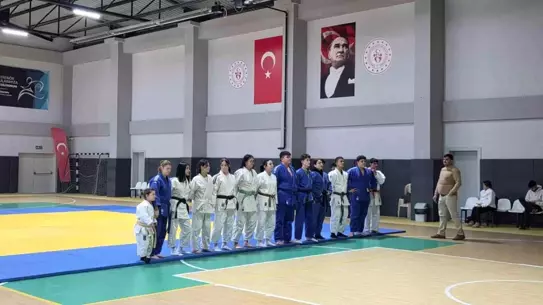 Judo müsabakalarından bir an