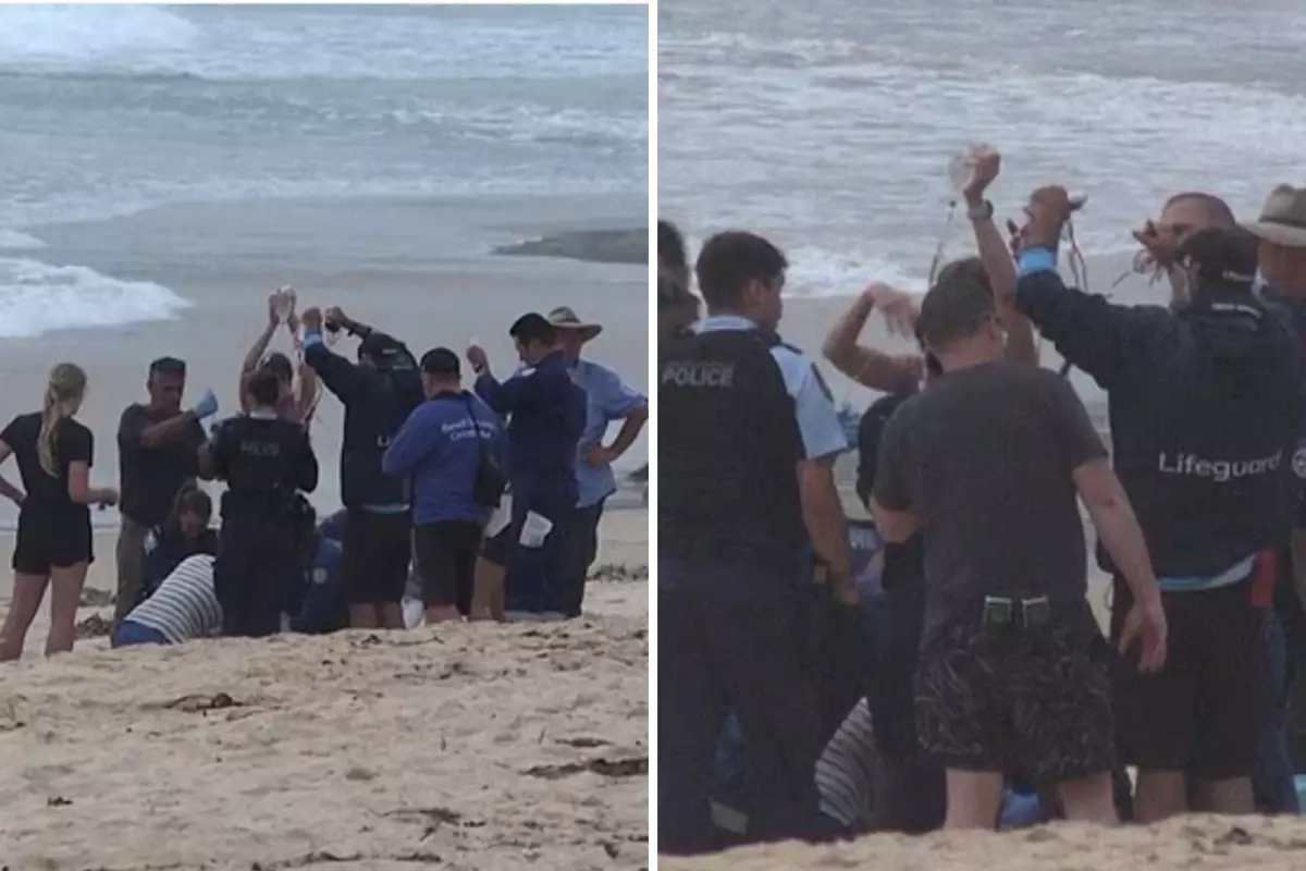 Sydney plajında köpekbalığı saldırısı