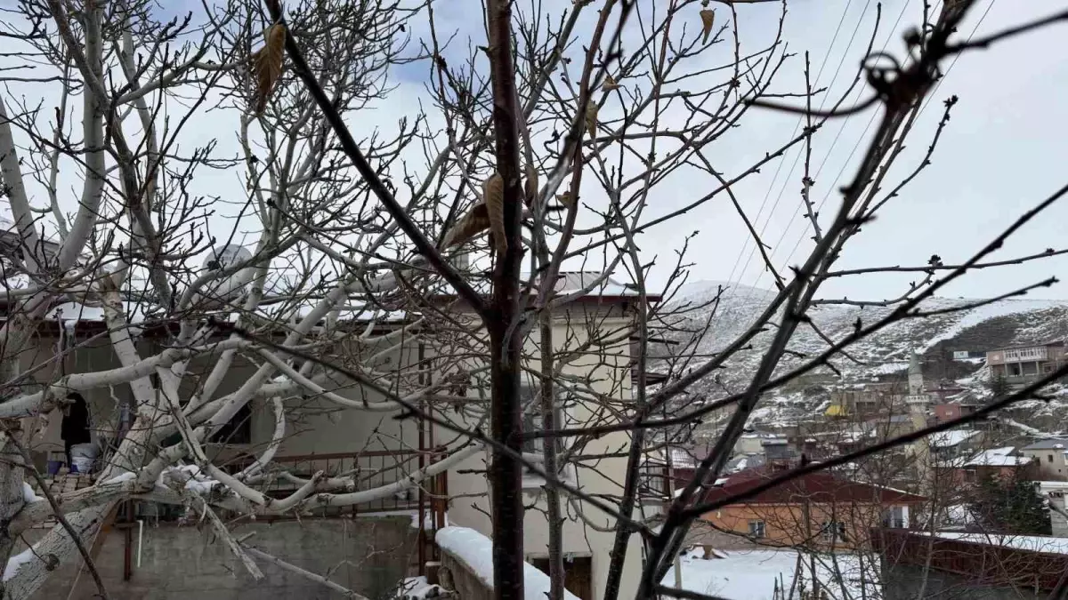 Çukurova’da Yağmur Dolu Günler: Çiftçiler Son 52 Yılın En Kurak Dönemini Geride Bıraktı