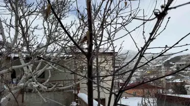 Yağmur sonrası Çukurova tarlaları