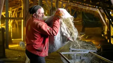 Kış koşullarında hayvan barınağı