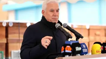 Koyun ve koçların dağıtımını gösteren fotoğraf