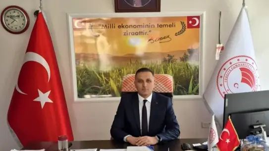 Ayçiçeği tohumları ve dağıtım anı