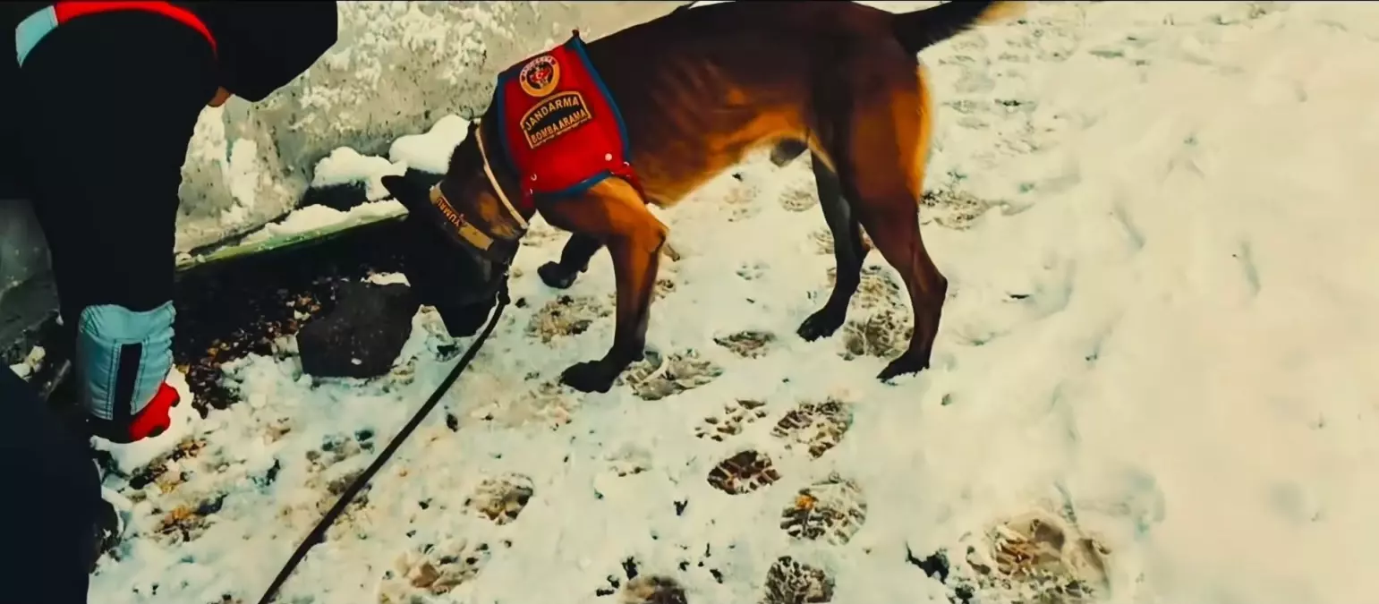 Diyarbakır’da 2015 Cinayeti: 6 Şüpheli Tutuklandı, Soruşturma Sonuçlandı