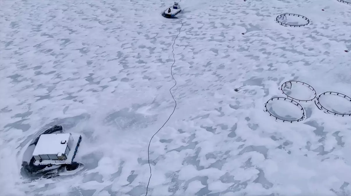 Adıyaman’da Çat Barajı Buzlaştı: Kışın Şaşırtıcı Görünümü