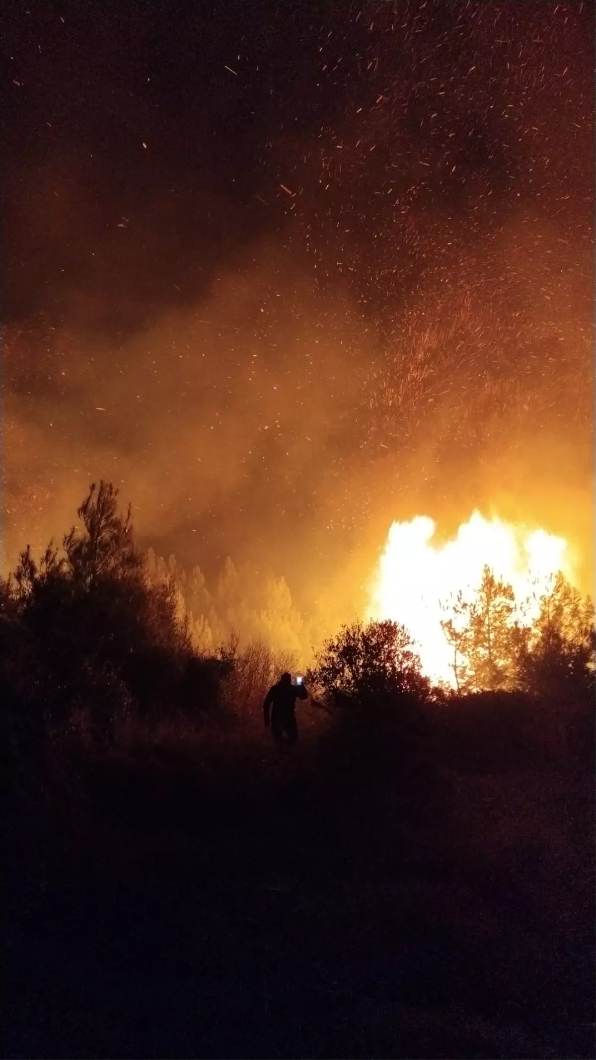 Antalya’nın Serik İlçesinde Orman Yangını Kontrol Altına Alındı