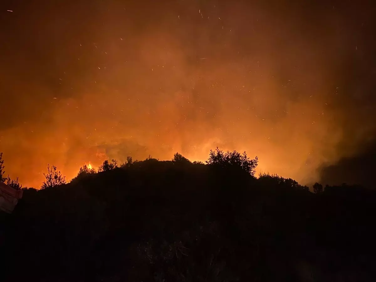 Antalya’nın Serik İlçesinde Orman Yangınına Hızlı Müdahale