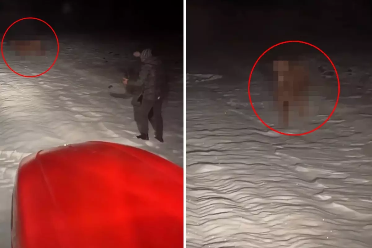 Gece Yarısı Köyde Traktör Seferberliği: Kaçan İnek Karda Yakalandı