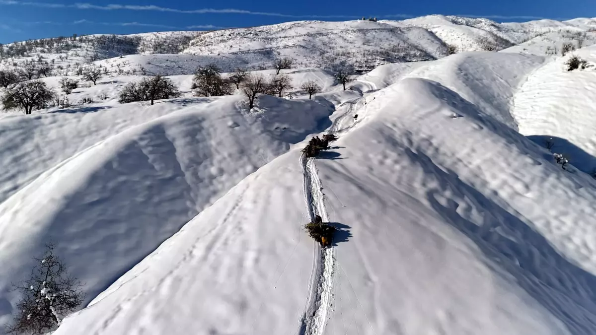 Derecik’te Karla Mücadele: Besiciler Kızakla Ot Taşıyor