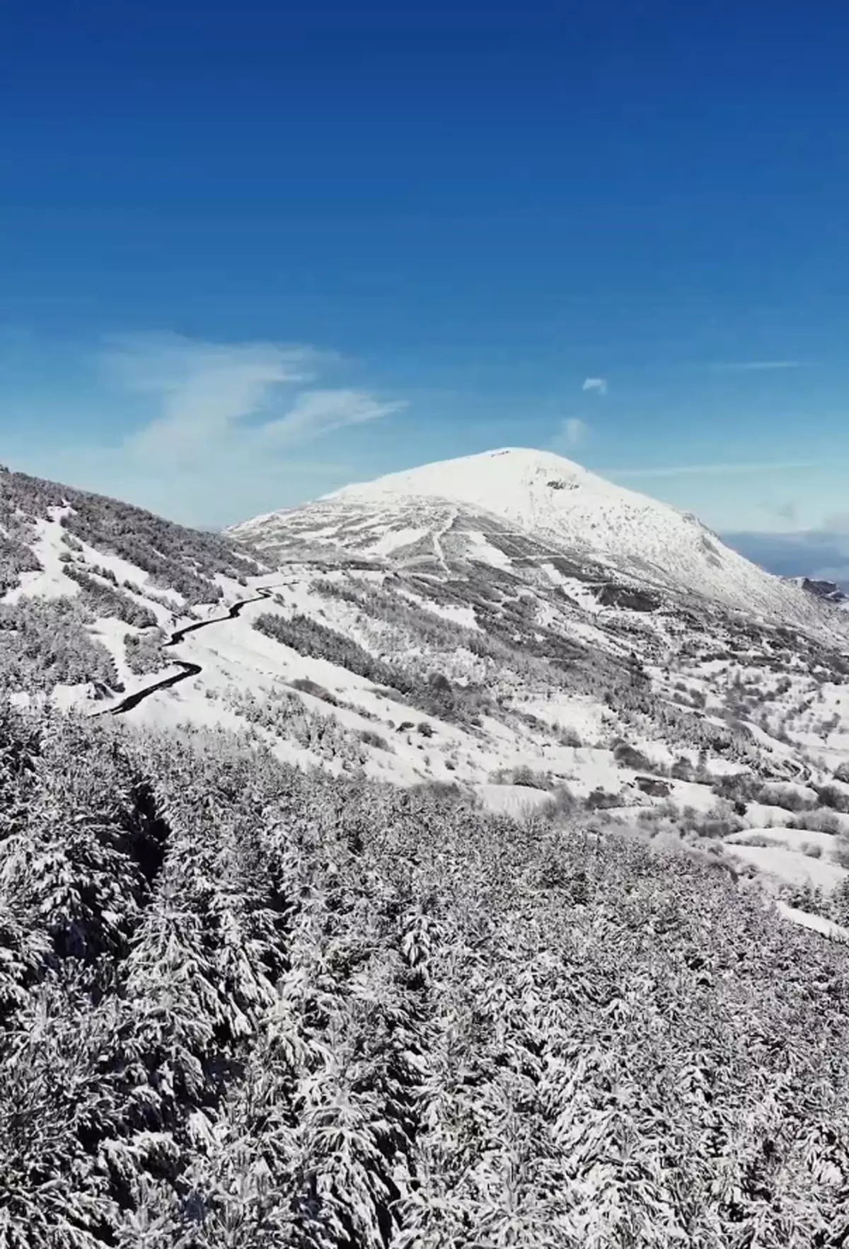 İzmir Ödemiş’te Karla Bütünleşen Ormanlar Büyüleyici Görünümler Sunuyor