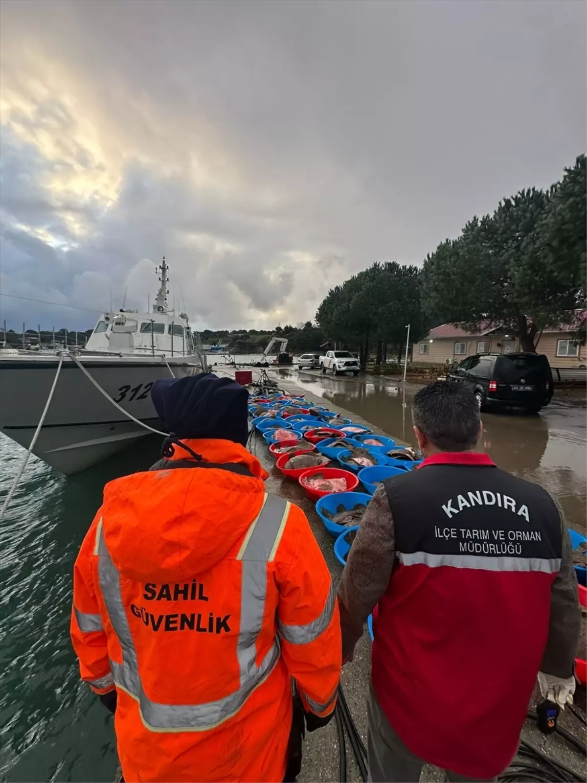 Kandıra’da 500 Kalkan Balığına El Konuldu: Yasa Dışı Avcılık Operasyonu