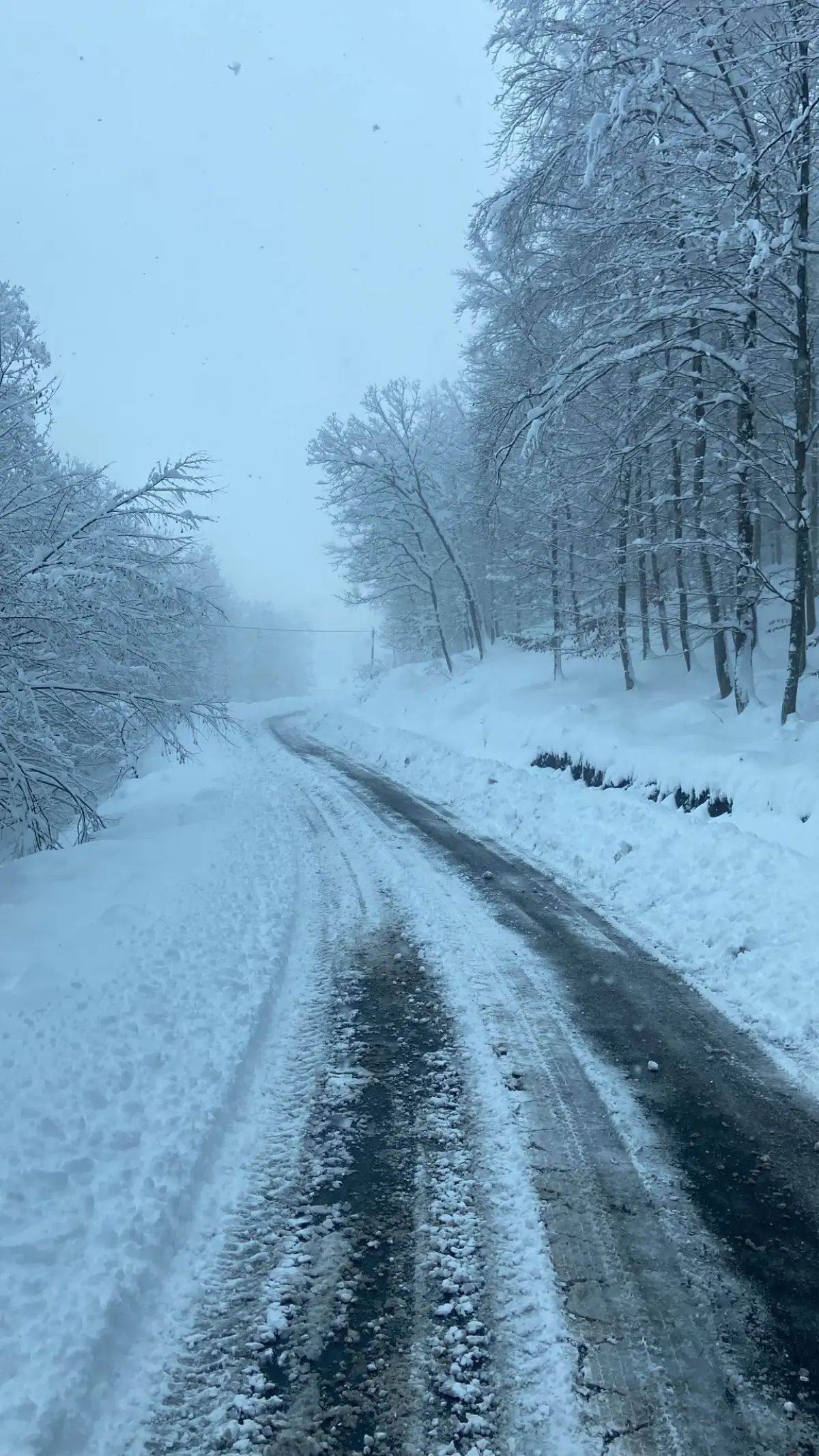 Zonguldak'ta Kar Nedeniyle 185 Köy Yolu Kapandı: Açma Çalışmaları Sürüyor