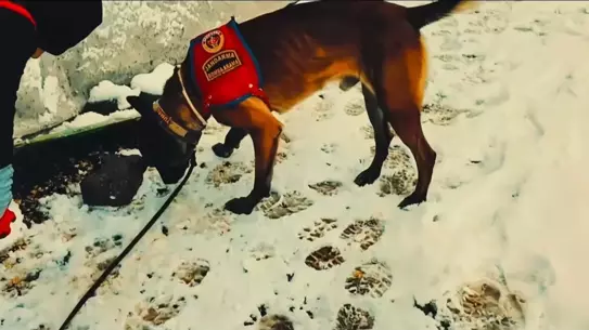 Olay yerindeki delillerin fotoğrafı