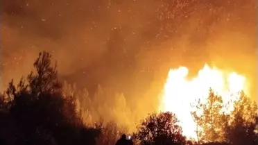 Serik Orman Yangını Hava Görüntüsü