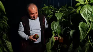 Akıllı tarım uygulamasının arayüzü