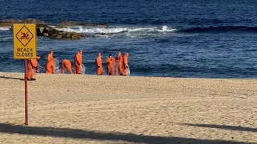 Köpekbalığı saldırısı sonrası sahil görüntüsü